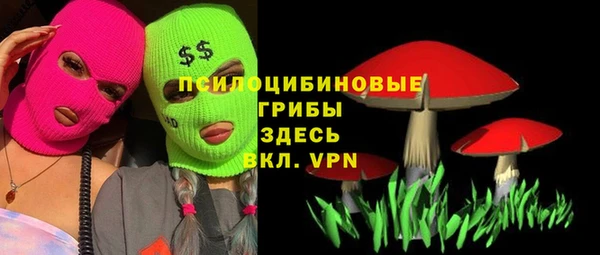 дурь Каменка