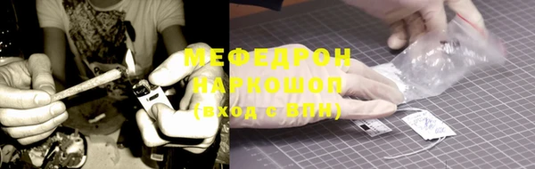 индика Щигры