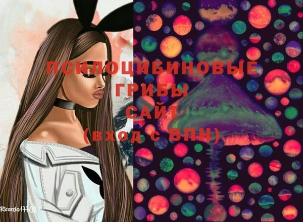 дурь Каменка